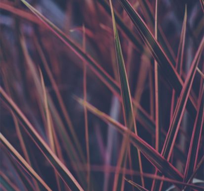 pexels neeraj kataria 740135